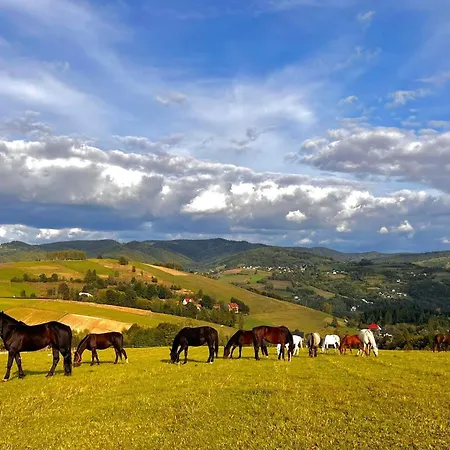 Agro Ranczo - Na Wynajem Фермерський будинок Przysietnica (Lesser Poland)