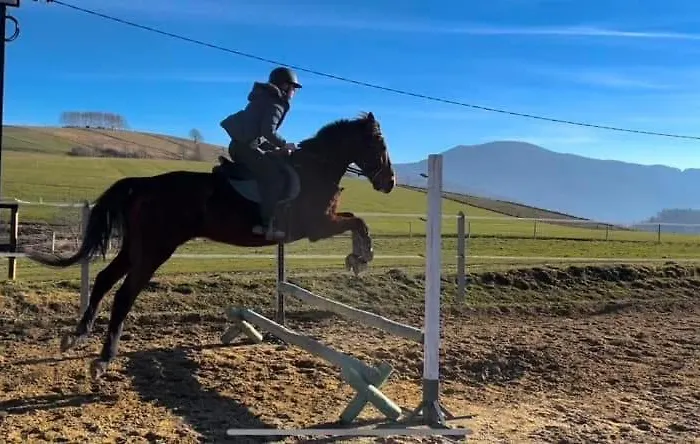 Agro Ranczo - Na Wynajem * Przysietnica (Lesser Poland)